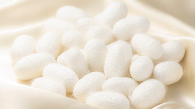 Silk Beauty Cocoons: What, Why, How?